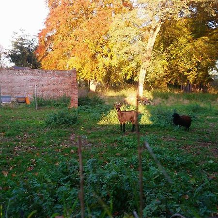 Отель Le Jardin Des Ecureuils Demuin Экстерьер фото